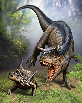 Carnotaurus attacking an Antarctopelta armored dinosaur Carnotaurus attacking an Antarctopelta armored dinosaur