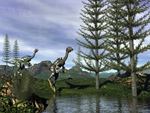 Caudipteryx dinosaurs at the waters edge next to tempskya trees Caudipteryx dinosaurs at the waters edge next to tempskya trees
