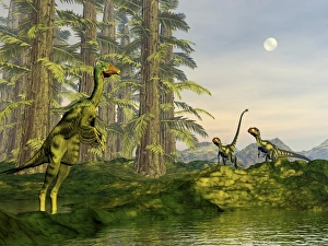 A Caudipteryx watching Dilong dinosaurs approaching A Caudipteryx watching Dilong dinosaurs approaching