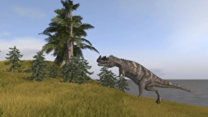 <b class=qtipBold><figcaption>Ceratosaurus running up a hill</figcaption></b><br>Ceratosaurus running up a hill.<br><em>© Kostyantyn Ivanyshen/Stocktrek Images</em> Ceratosaurus running up a hill