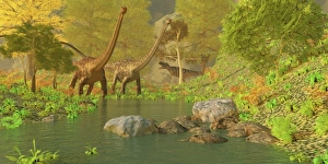 A Ceratosaurus tries to sneak up behind two Diplodocus dinosaurs A Ceratosaurus tries to sneak up behind two Diplodocus dinosaurs