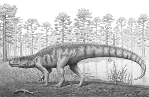 A Chirotherium roams a prehistoric era landscape A Chirotherium roams a prehistoric era landscape