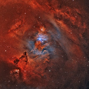 The Christmas Tree Nebula, Cone Nebula and Fox Fur Nebula The Christmas Tree Nebula, Cone Nebula and Fox Fur Nebula