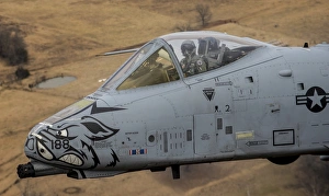 Close-up view of the nose cone on an A-10 Thunderbolt II Close-up view of the nose cone on an A-10 Thunderbolt II