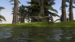 Two Coelophysis dinosaurs running along the edge of swampy water Two Coelophysis dinosaurs running along the edge of swampy water
