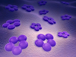 Conceptual image of cell surface receptors Conceptual image of cell surface receptors