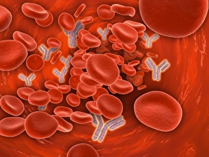 Conceptual image of chromosomes inside the blood stream Conceptual image of chromosomes inside the blood stream