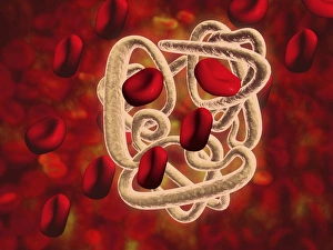 Conceptual image of hemoglobin and red blood cells Conceptual image of hemoglobin and red blood cells
