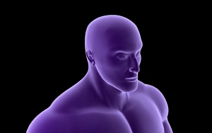 <b class=qtipBold><figcaption>Conceptual image of human upper body</figcaption></b><br>Conceptual image of human upper body.<br><em>© Stocktrek Images</em> Conceptual image of human upper body