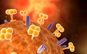 Conceptual image of influenza causing flu virus Conceptual image of influenza causing flu virus