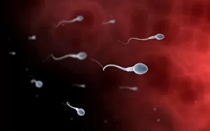 Conceptual image of sperm inside fallopian tube
