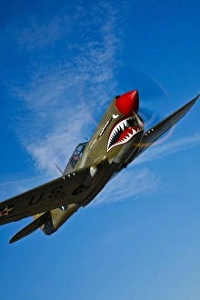 A Curtiss P-40E Warhawk in flight near Chino, California A Curtiss P-40E Warhawk in flight near Chino, California