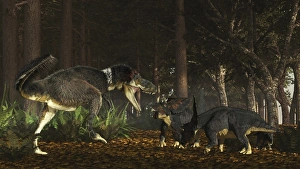 Daspletosaurus confronts a family of Chasmosaurus Daspletosaurus confronts a family of Chasmosaurus