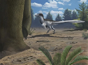 A deinonychosaur leaves tracks across a Cretaceous China landscape A deinonychosaur leaves tracks across a Cretaceous China landscape