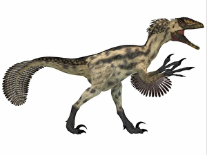 Deinonychus, a carnivorous dinosaur from the early Cretaceous Period Deinonychus, a carnivorous dinosaur from the early Cretaceous Period