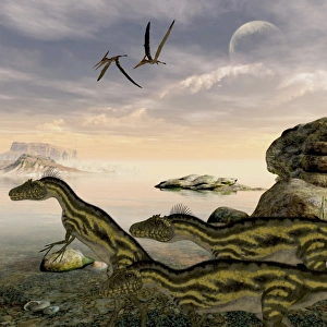 Deltadromeus dinosaurs search the shoreline for food to eat Deltadromeus dinosaurs search the shoreline for food to eat