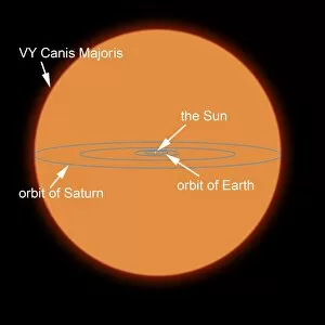 A diagram comparing the Sun to VY Canis Majoris