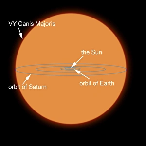 A diagram comparing the Sun to VY Canis Majoris A diagram comparing the Sun to VY Canis Majoris