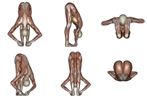 Six different views of big toes yoga pose showing female musculature Six different views of big toes yoga pose showing female musculature