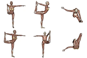 Six different views of dancer yoga pose showing female musculature Six different views of dancer yoga pose showing female musculature