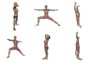 Six different views of warrior yoga pose showing female musculature Six different views of warrior yoga pose showing female musculature