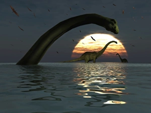 Diplodocus dinosaurs bathe in a large body of water Diplodocus dinosaurs bathe in a large body of water