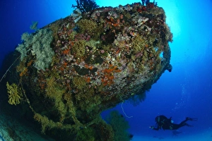 A diver under the coral encrusted stern of the Japanese Cross Wreck A diver under the coral encrusted stern of the Japanese Cross Wreck