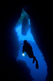 A diver explores an underwater cavern known as th Bat Cave, Solomons A diver explores an underwater cavern known as th Bat Cave, Solomons