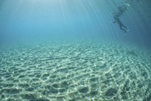 A diver hovers above a sandy slope off the island of Guadalcanal A diver hovers above a sandy slope off the island of Guadalcanal