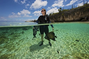 Related Images Gallery: A diver looks out to sea while a French Angelfish swims around her
