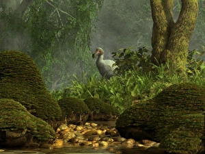 A Dodo bird hides in a dense jungle near a stream A Dodo bird hides in a dense jungle near a stream