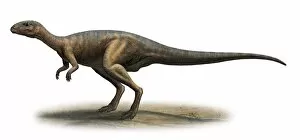 Dryosaurus altus, prehistoric era dinosaur