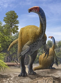 Erlikosaurus andrewsi dinosaurs in a prehistoric environment Erlikosaurus andrewsi dinosaurs in a prehistoric environment