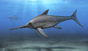 Eurhinosaurus longirostris swimming in prehistoric waters Eurhinosaurus longirostris swimming in prehistoric waters