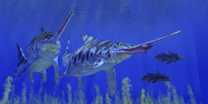 A Eurhinosaurus reptile preys on a coelacanth fish A Eurhinosaurus reptile preys on a coelacanth fish