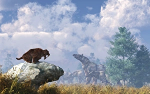 A Eusmilus watches a herd of Paraceratherium A Eusmilus watches a herd of Paraceratherium