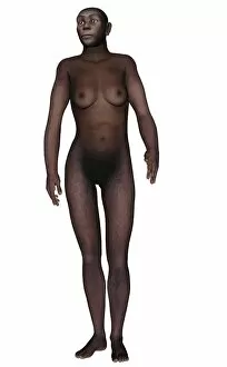 Female homo erectus walking