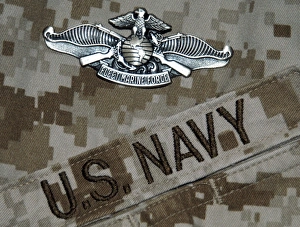 The Fleet Marine Force Warfare Specialist Pin The Fleet Marine Force Warfare Specialist Pin