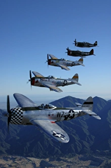 Formation of P-47 Thunderbolts flying over Chino, California Formation of P-47 Thunderbolts flying over Chino, California