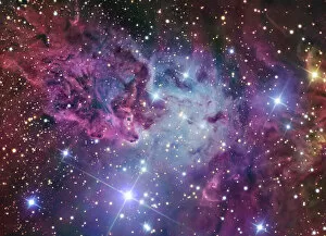 Celestial Gallery: The Fox Fur Nebula