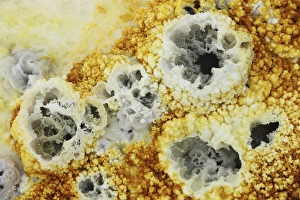 Fumaroles in potassium salt deposits, Dallol geothermal area, Danakil Depression Fumaroles in potassium salt deposits, Dallol geothermal area, Danakil Depression