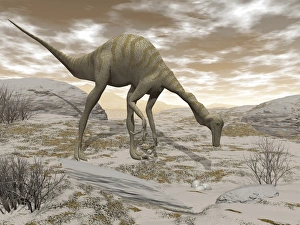 Gallimimus dinosaur discovering eggs in the desert Gallimimus dinosaur discovering eggs in the desert