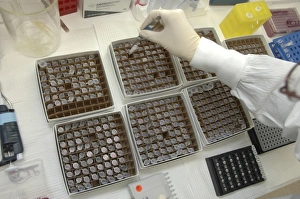 Generic vials with chemicals in research lab Generic vials with chemicals in research lab