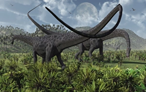 Two giant Diplodocus herbivore dinosaurs grazing during the Jurassic period on Earth Two giant Diplodocus herbivore dinosaurs grazing during the Jurassic period on Earth