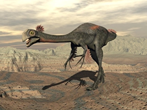Gigantoraptor dinosaur walking on rocky terrain Gigantoraptor dinosaur walking on rocky terrain
