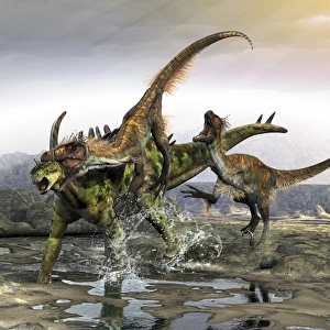 A Gigantspinosaurus is attacked by a pair of Utahraptors A Gigantspinosaurus is attacked by a pair of Utahraptors