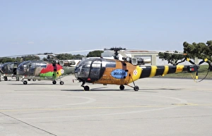 A group of Alouette III utility helicopters of the Poruguese Air Force A group of Alouette III utility helicopters of the Poruguese Air Force