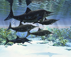 A group of Ichthyosaurs swimming in prehistoric waters A group of Ichthyosaurs swimming in prehistoric waters