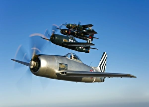 Two Grumman F8F Bearcats and two F7F Tigercats fly in formation Two Grumman F8F Bearcats and two F7F Tigercats fly in formation