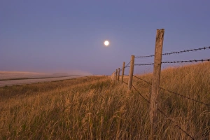 Harvest Moon down the road, Gleichen, Alberta, Canada Harvest Moon down the road, Gleichen, Alberta, Canada